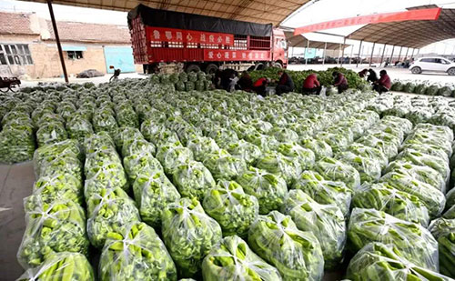 我是湖南長(zhǎng)沙蔬菜批發(fā)市場(chǎng)，買多少錢的農(nóng)藥殘留檢測(cè)儀合適？