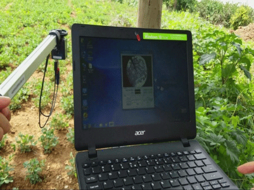 植物冠層圖像分析儀可以測量什么？