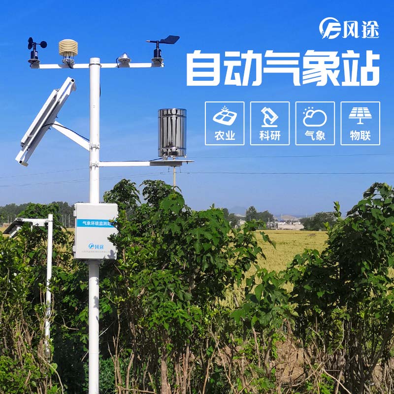 小麥穗期病蟲害如何監(jiān)測(cè)？